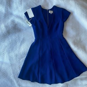 Brand new Aritzia dress with tags